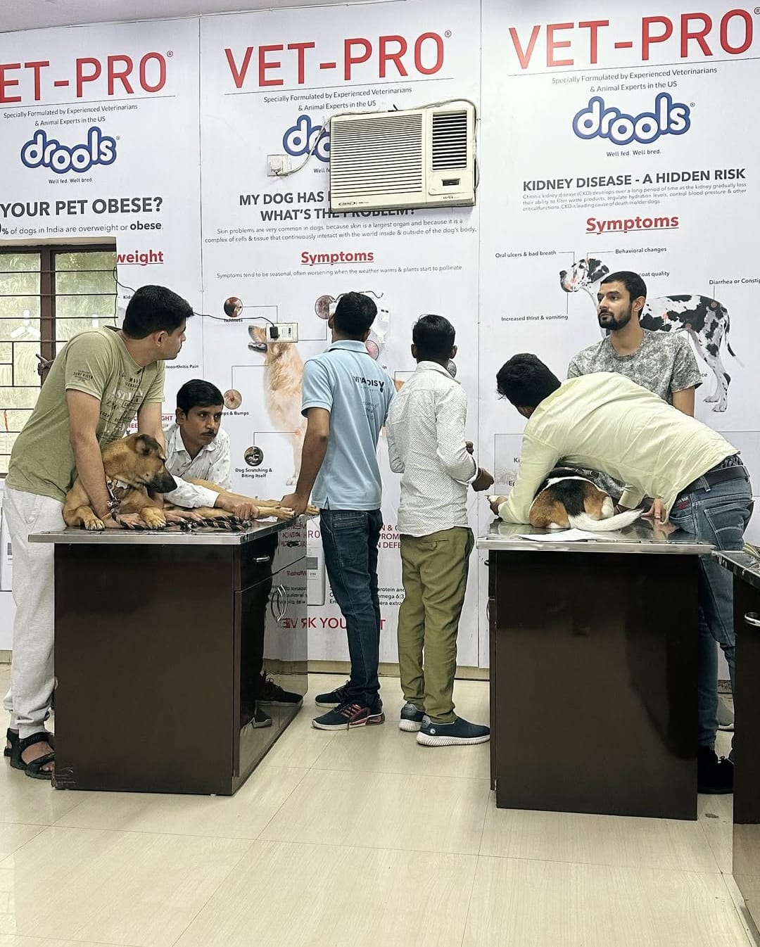 Emergency & Critical Care at Vital Pet Clinic, Greater Noida