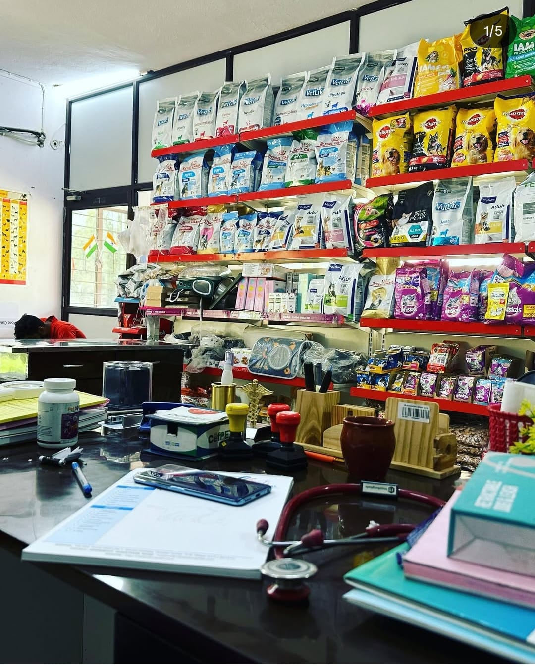 Diagnostics & Surgery at Vital Pet Clinic, Greater Noida