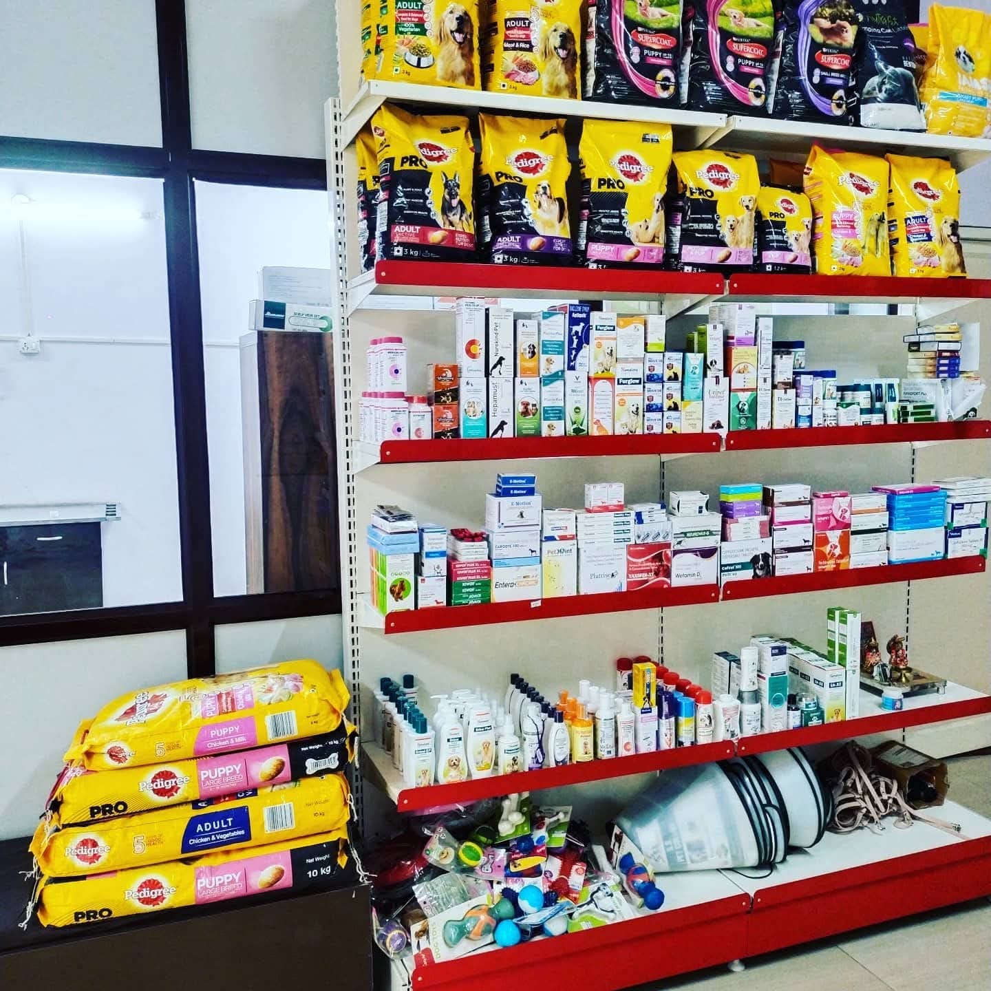 Pet Nutrition & Diet Plans at Vital Pet Clinic, Greater Noida